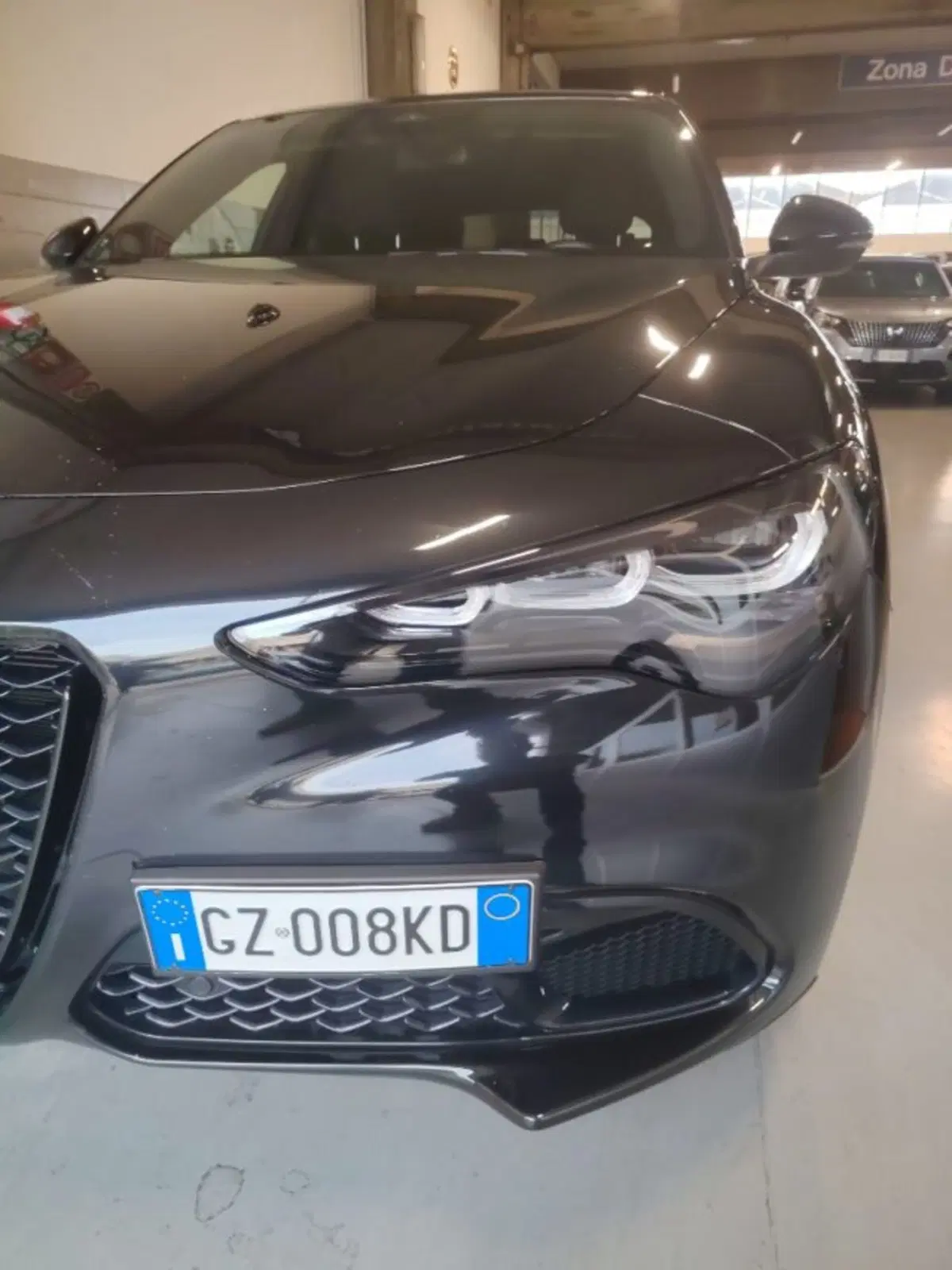 Alfa Romeo Stelvio usata a Forlì-Cesena (10)