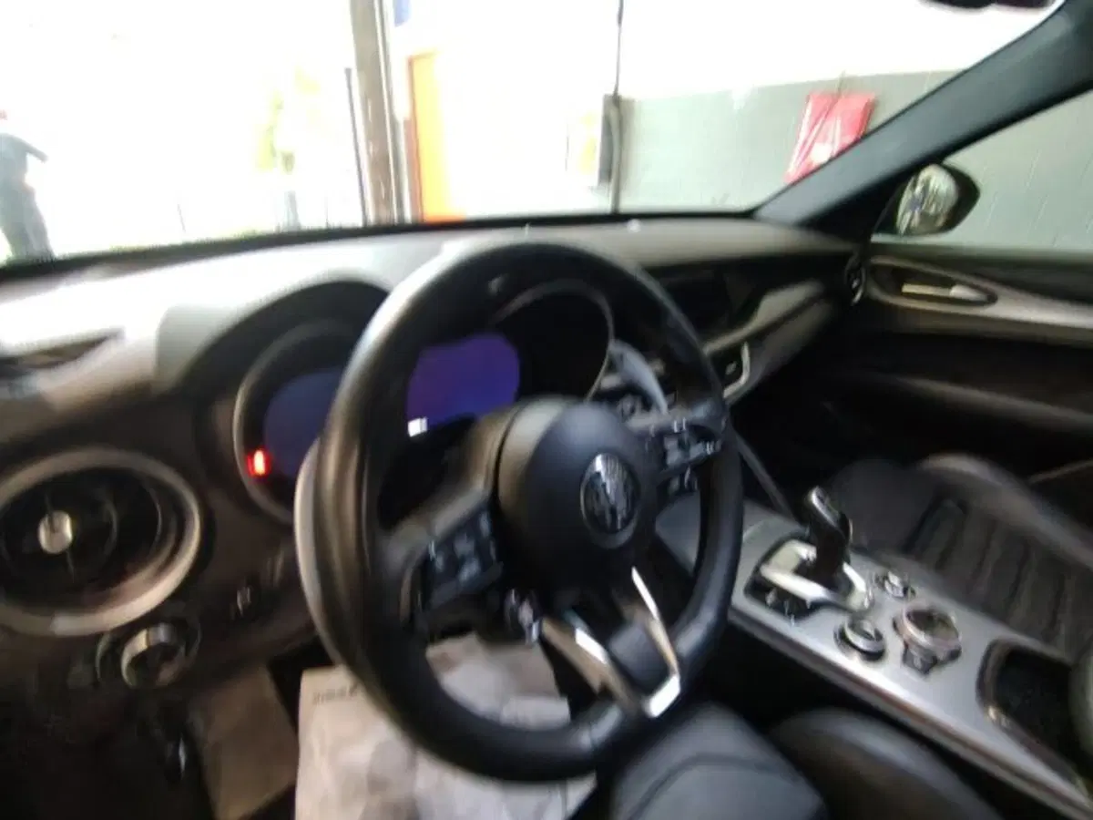 Alfa Romeo Stelvio usata a Forlì-Cesena (13)