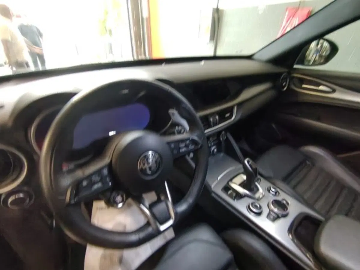 Alfa Romeo Stelvio usata a Forlì-Cesena (17)