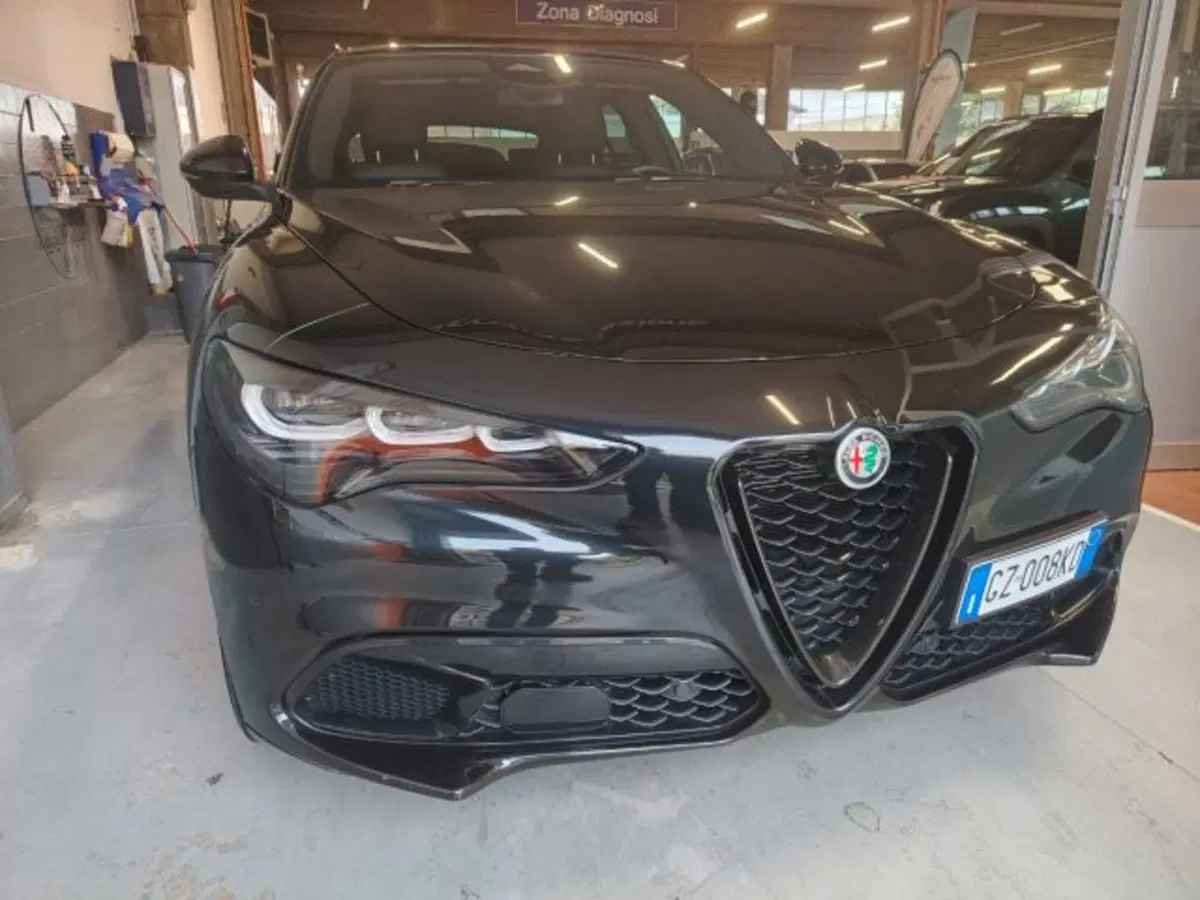 Alfa Romeo Stelvio usata a Forlì-Cesena (2)