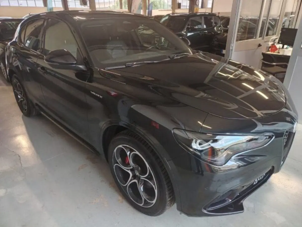 Alfa Romeo Stelvio usata a Forlì-Cesena (7)