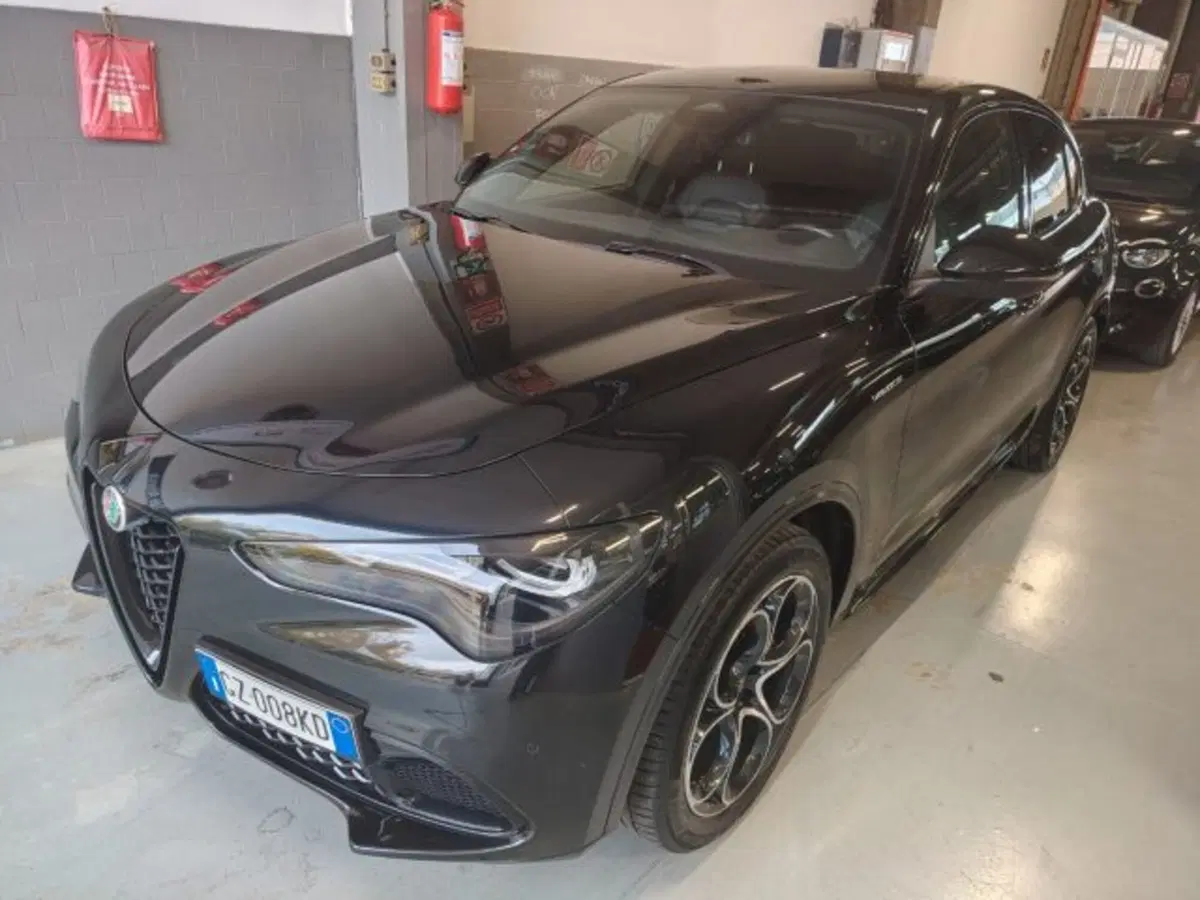 Alfa Romeo Stelvio usata a Forlì-Cesena (9)