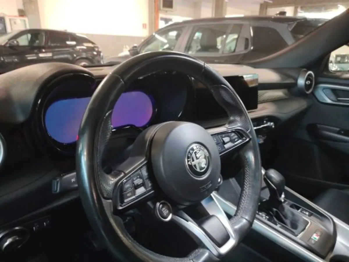Alfa Romeo Tonale usata a Forlì-Cesena (15)