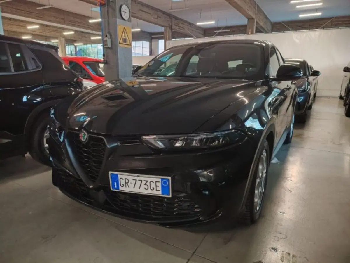 Alfa Romeo Tonale usata a Forlì-Cesena (2)