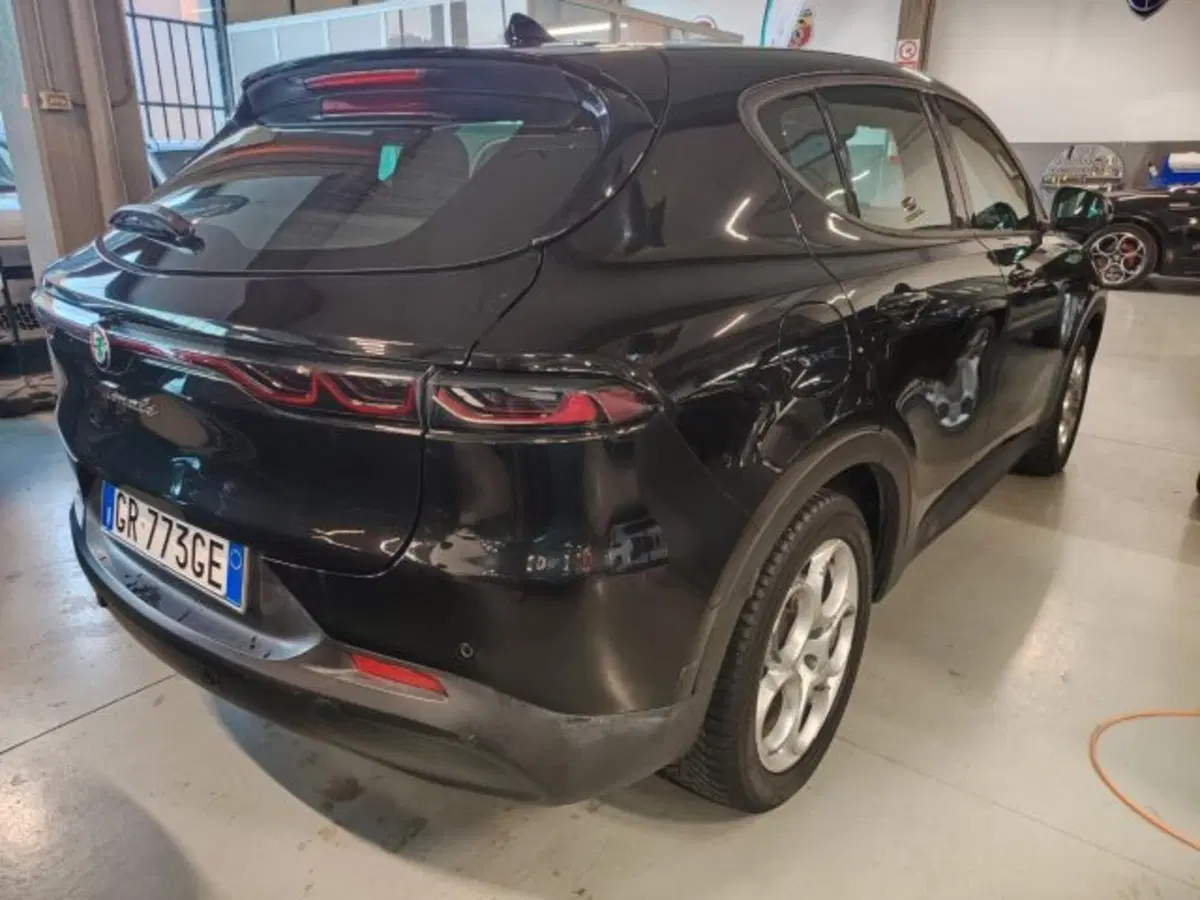 Alfa Romeo Tonale usata a Forlì-Cesena (5)