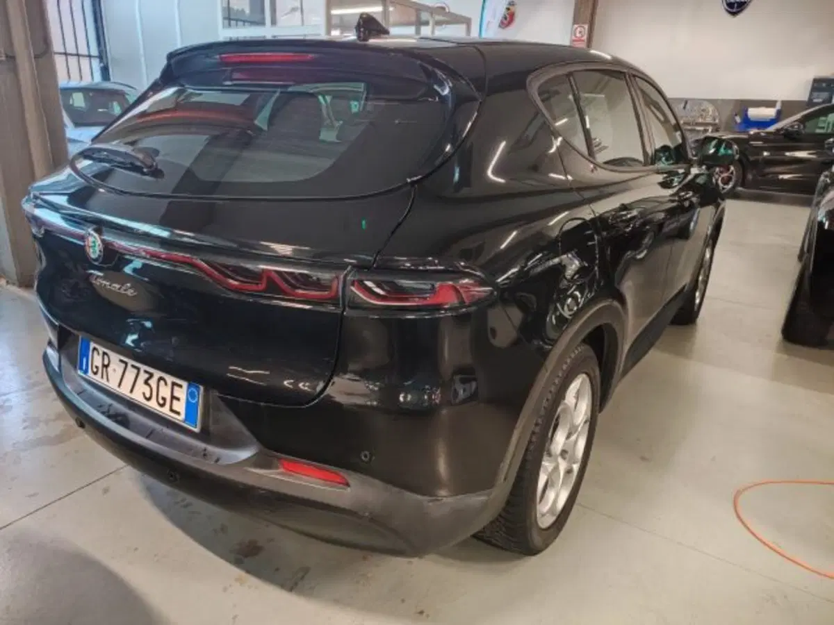 Alfa Romeo Tonale usata a Forlì-Cesena (6)