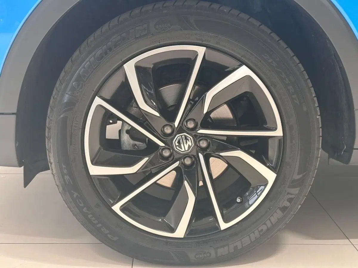 Mg ZS usata a Varese (2)