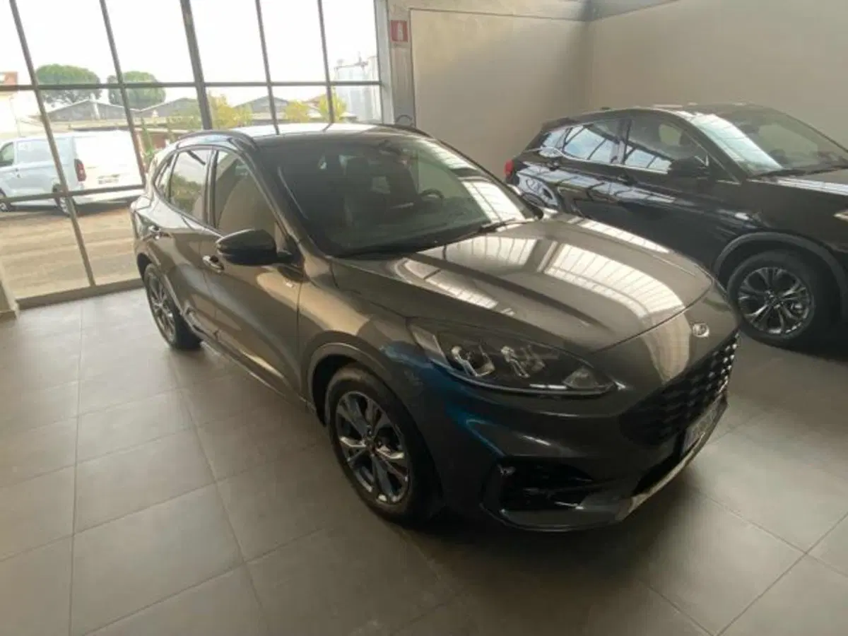 Ford Kuga usata a Bologna (3)
