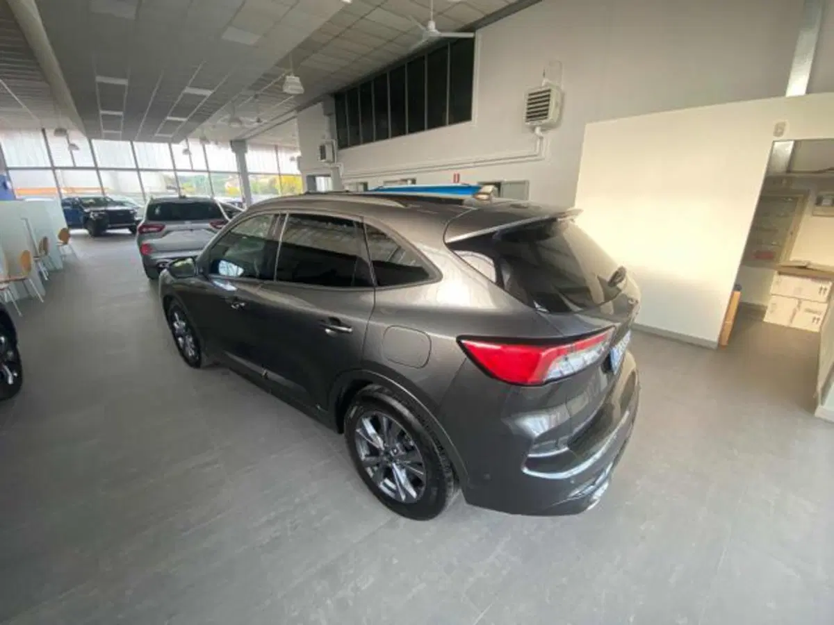 Ford Kuga usata a Bologna (6)