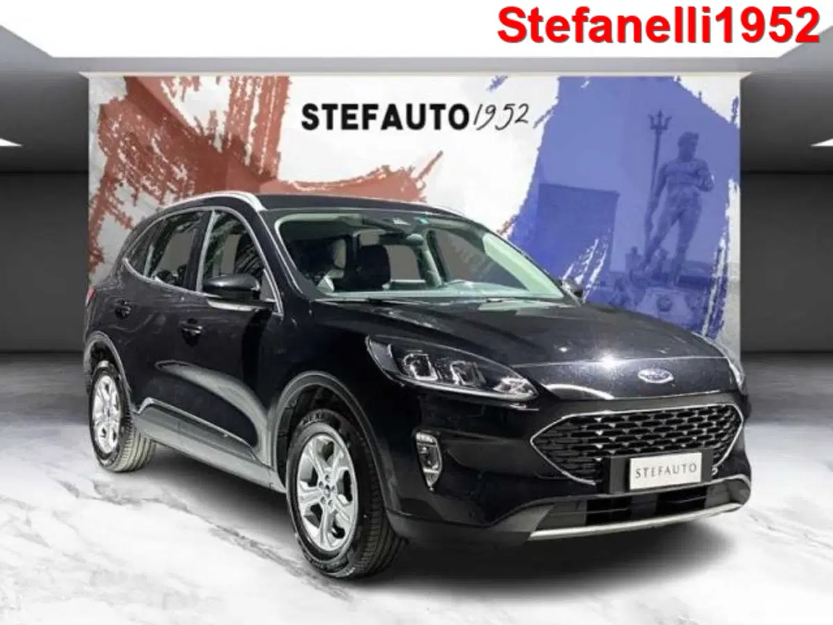 Ford Kuga usata a Bologna