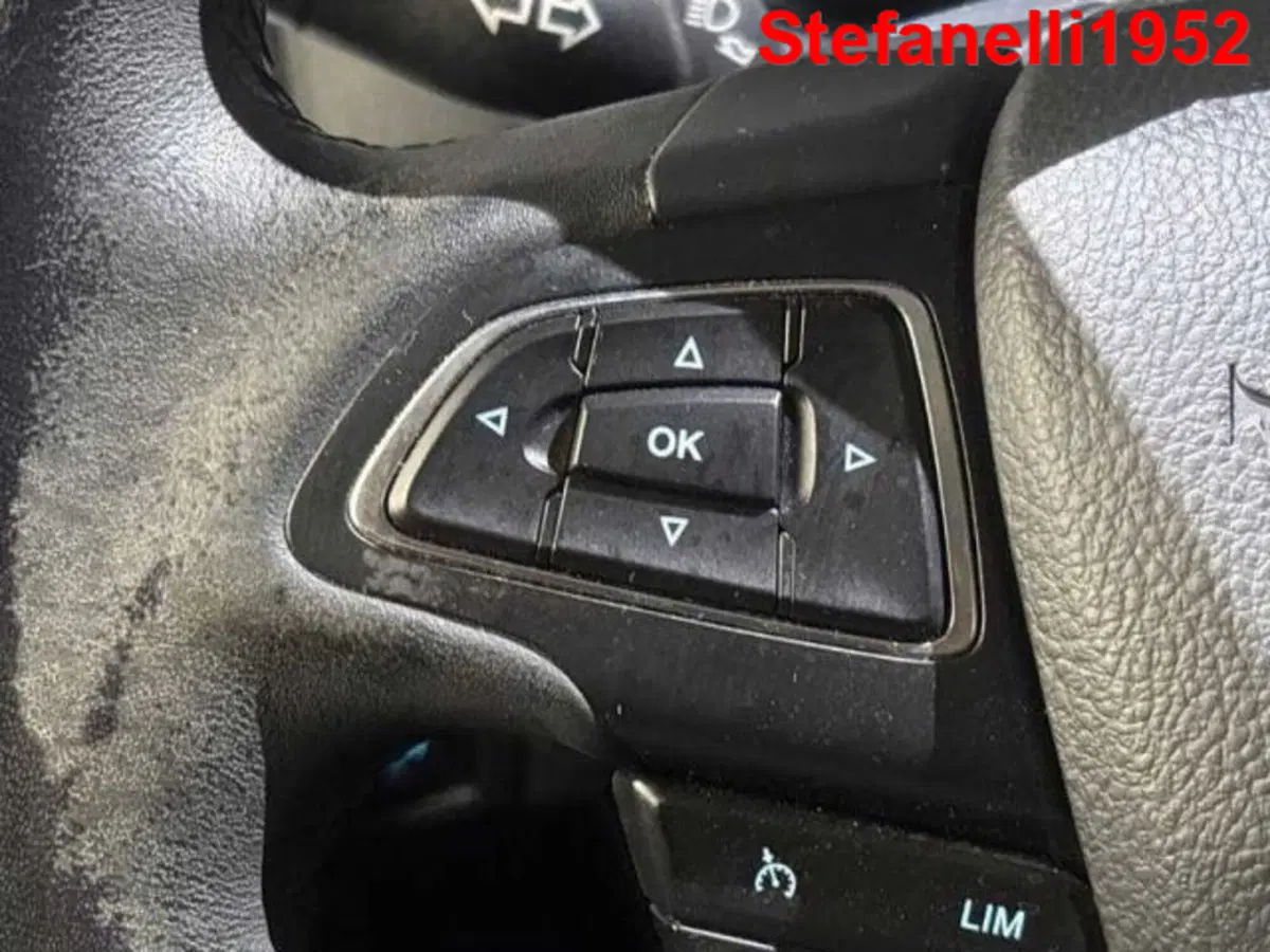 Ford Focus usata a Bologna (20)
