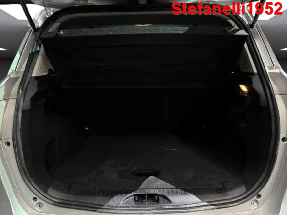 Ford B-Max usata a Bologna (7)