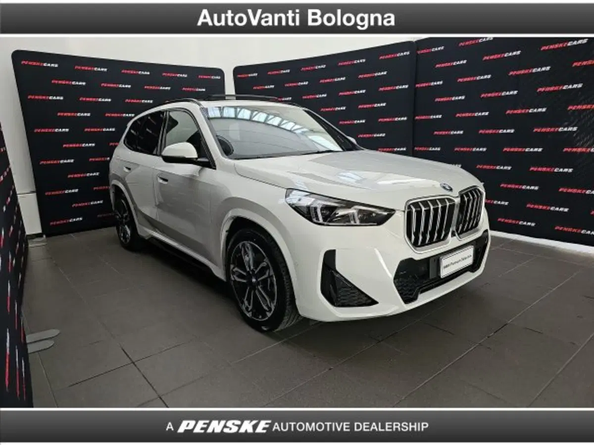 BMW X1 usata a Bologna (7)