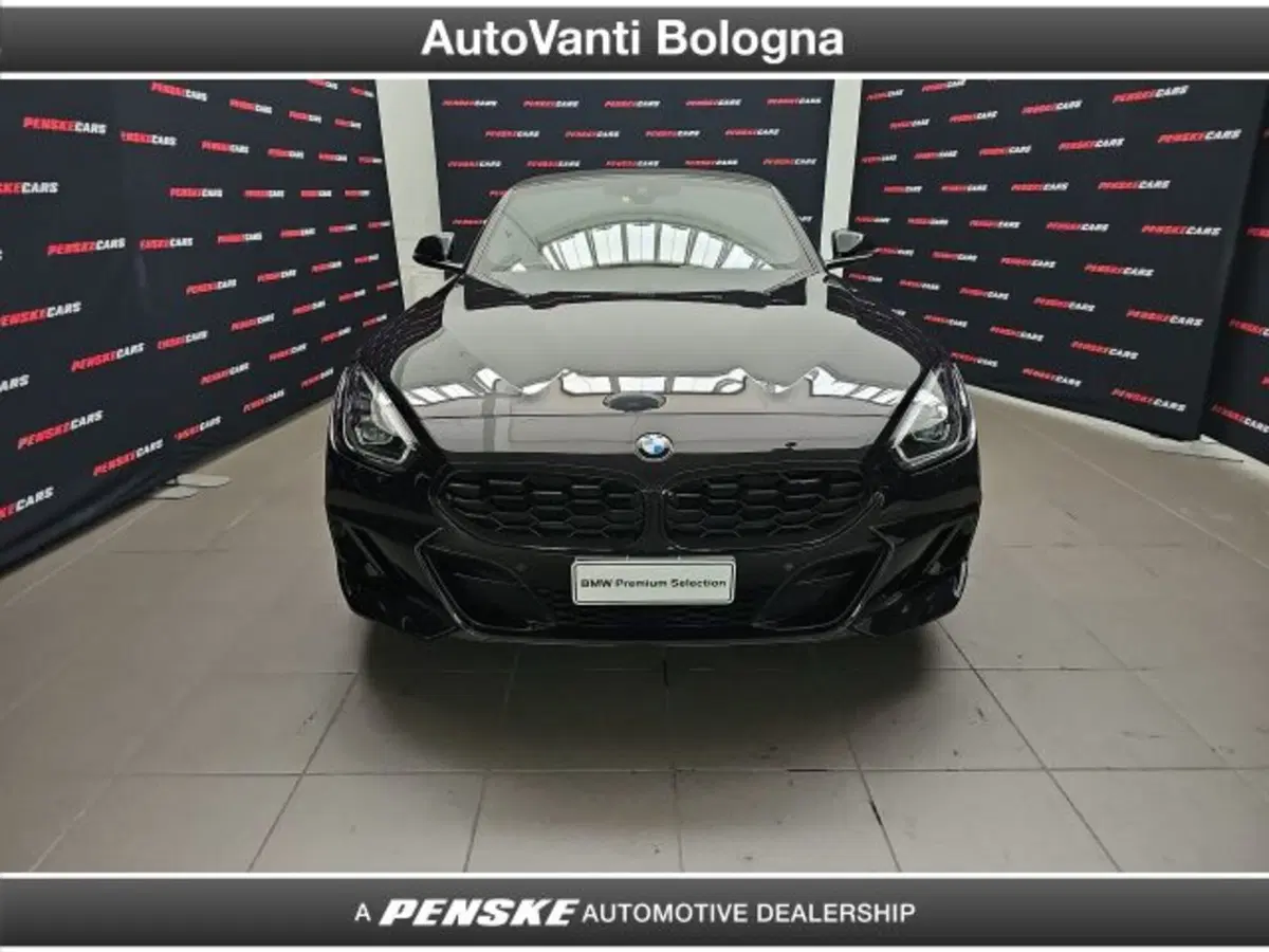 BMW Z4 Cabrio usata a Bologna (8)