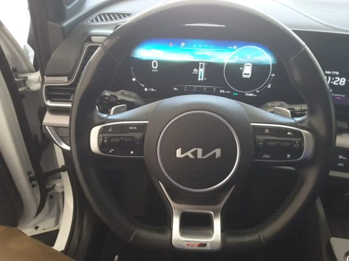 Kia Sportage usata a Firenze (7)