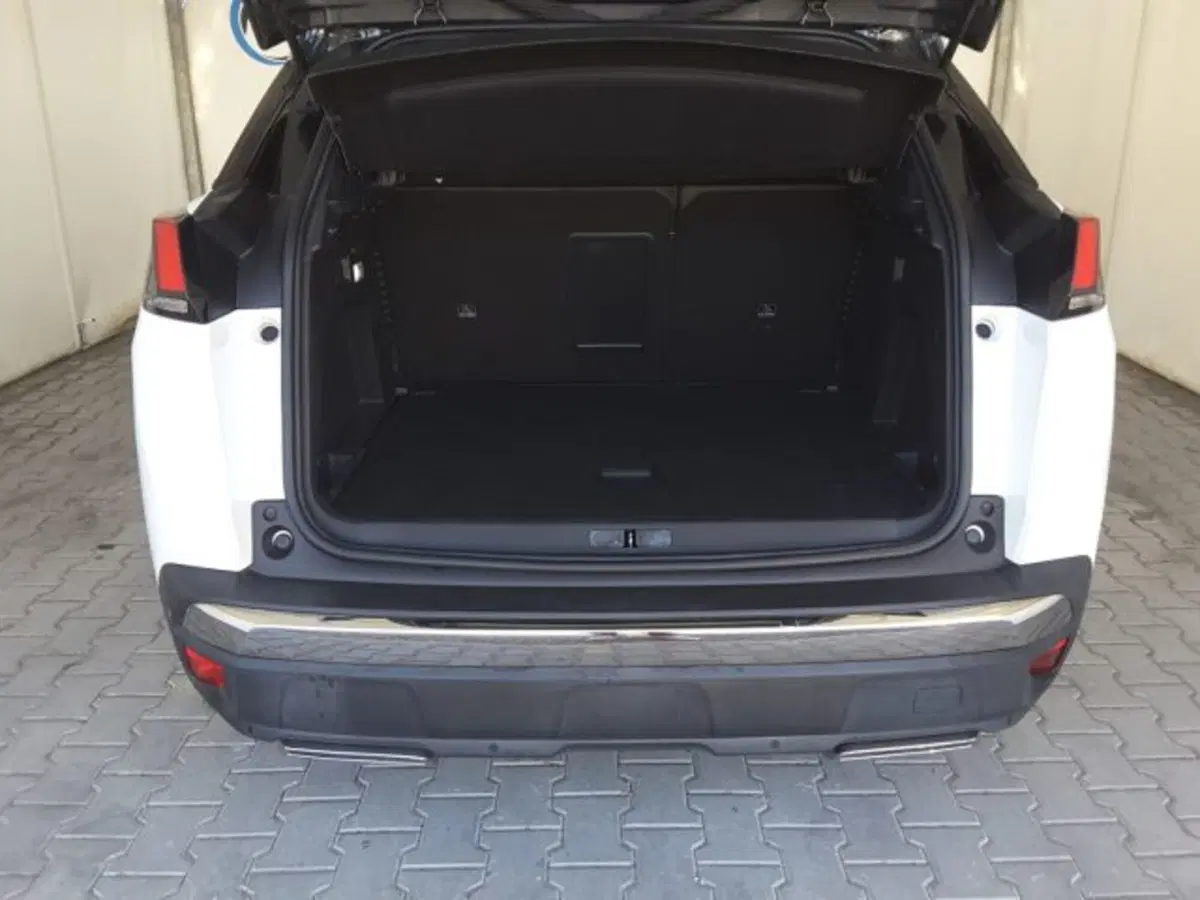 Peugeot 3008 usata a Firenze (13)