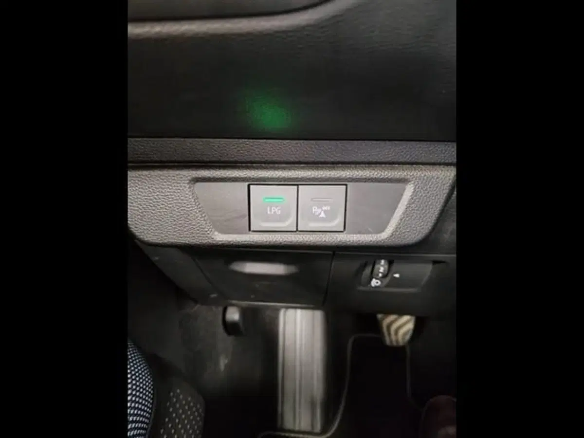 Dacia Sandero Stepway usata a Siena (13)