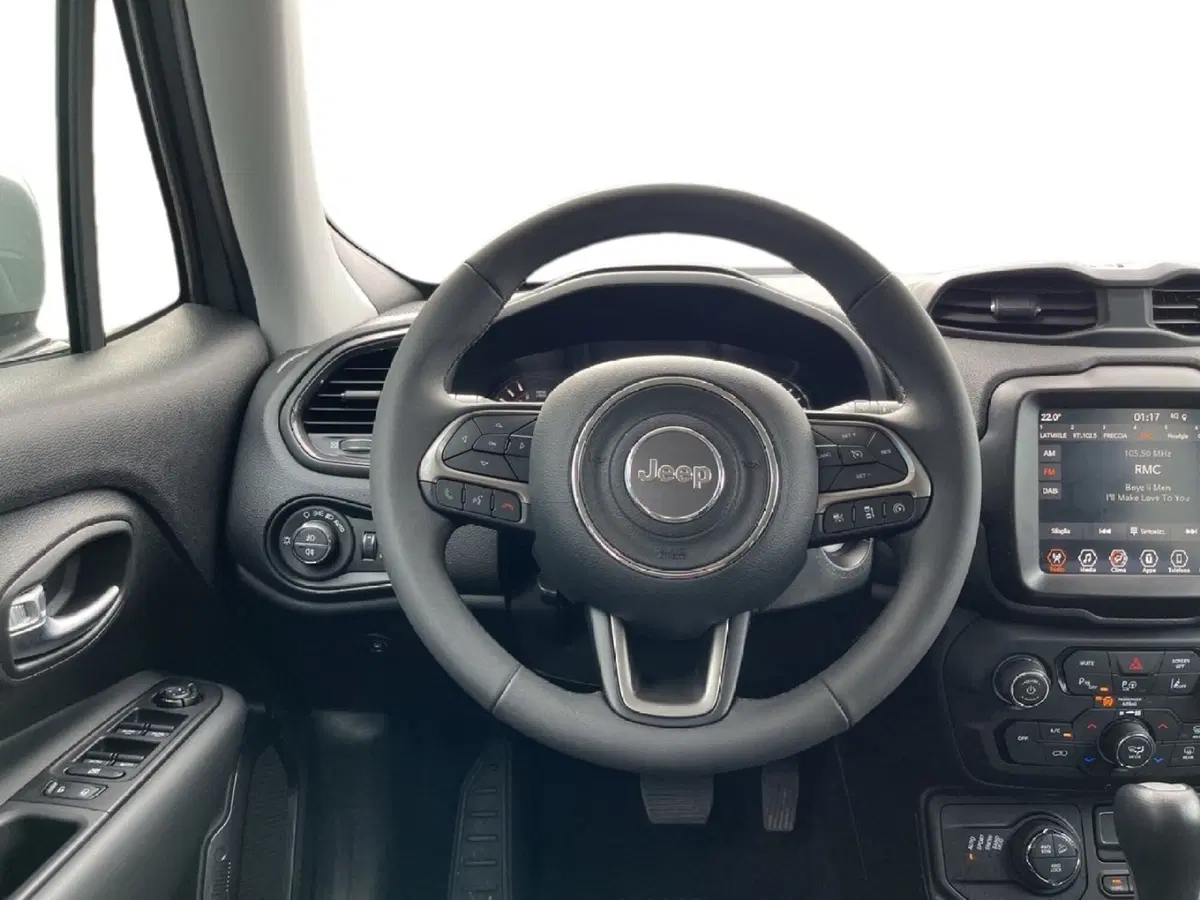 Jeep Renegade usata a Torino (11)