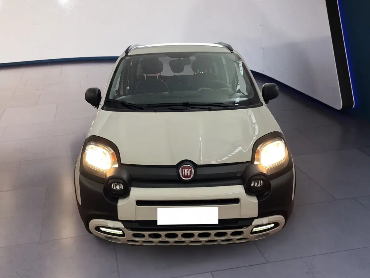 Fiat Panda usata a Torino
