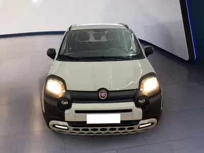 Fiat Panda 1.0 firefly hybrid s&s 70cv 5p.ti del 2022 usata a Torino
