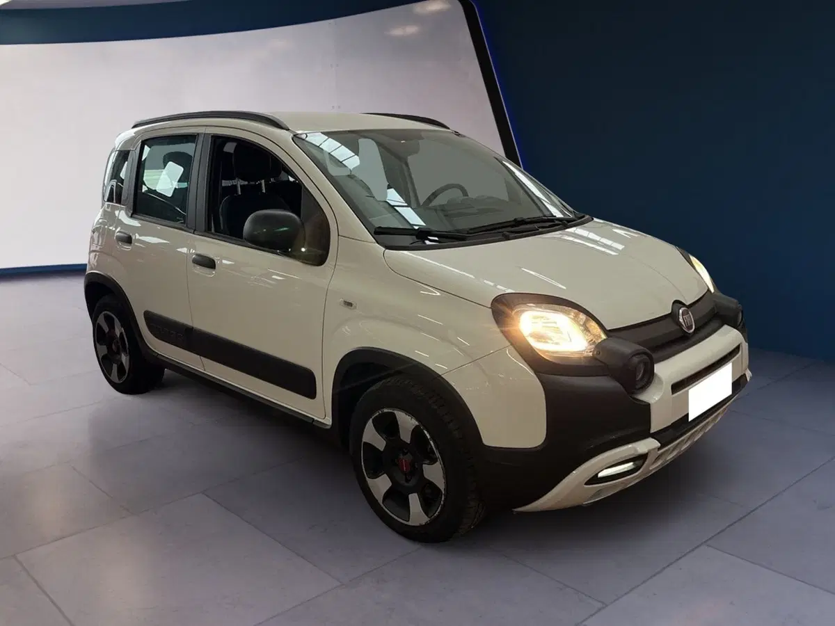 Fiat Panda usata a Torino (2)