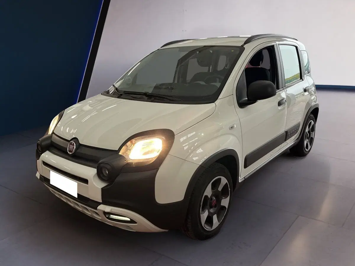 Fiat Panda usata a Torino (3)