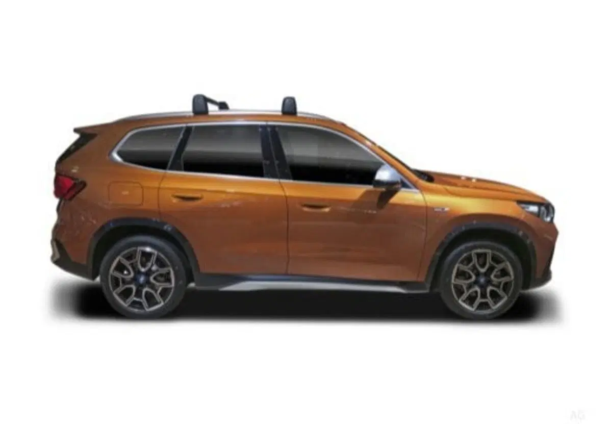 BMW X1 usata a Palermo (5)