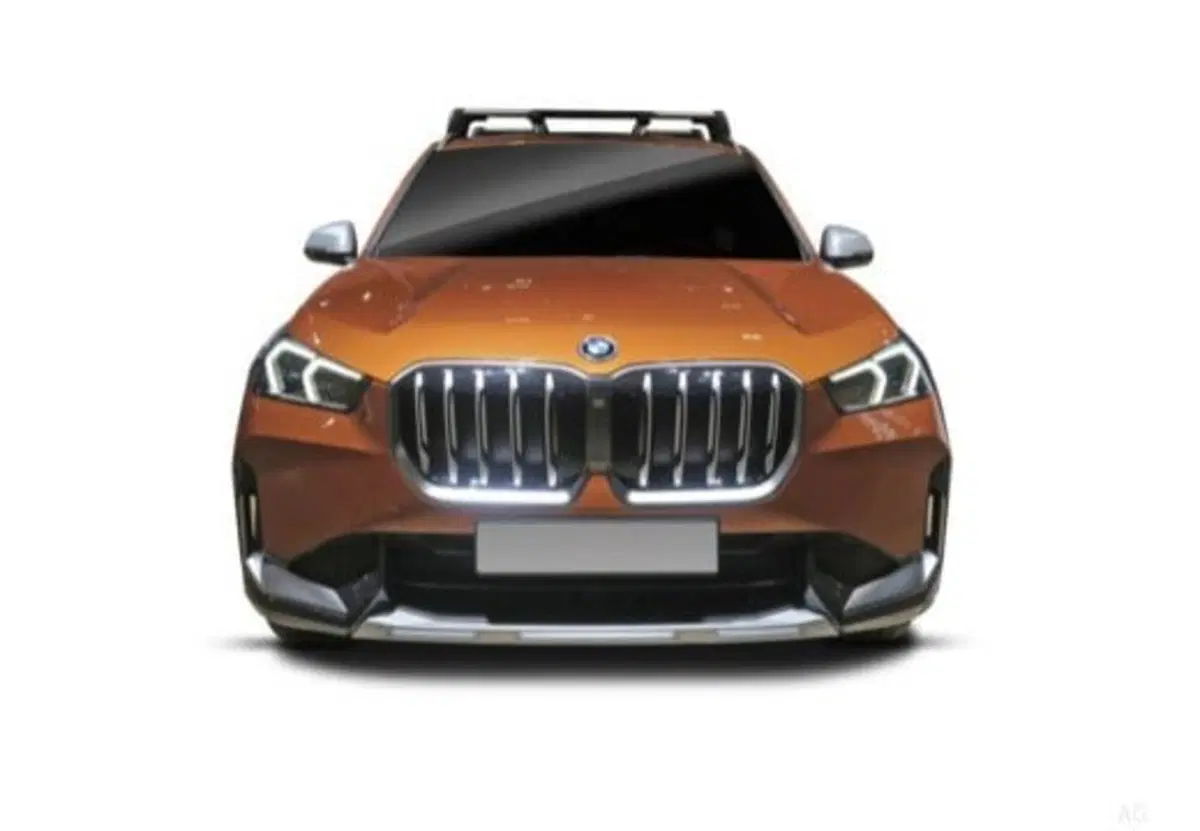 BMW X1 usata a Palermo (9)