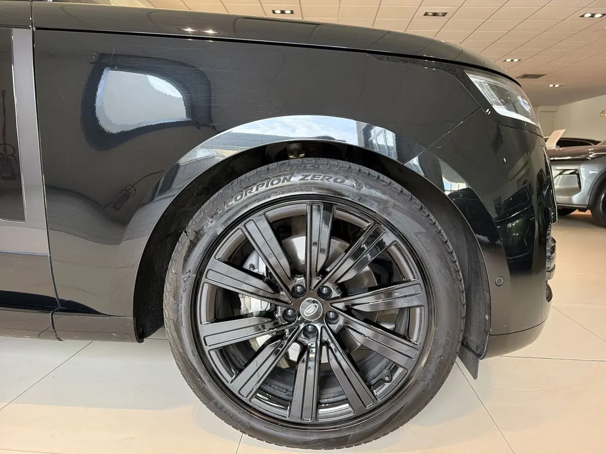 Land Rover Range Rover usata a Modena (18)