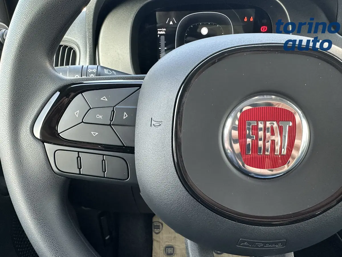 Fiat Pandina nuova a Torino (16)