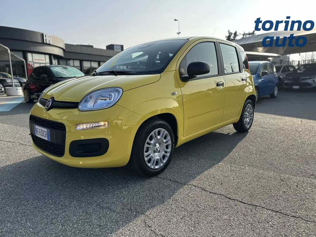 Fiat Pandina nuova a Torino (3)