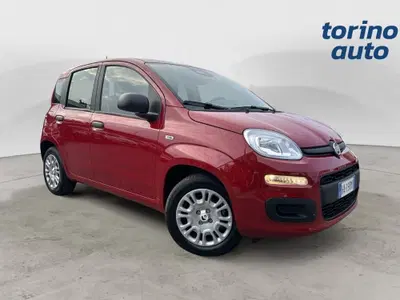 Fiat Pandina 1.0 firefly hybrid s&s 70cv nuova a Torino