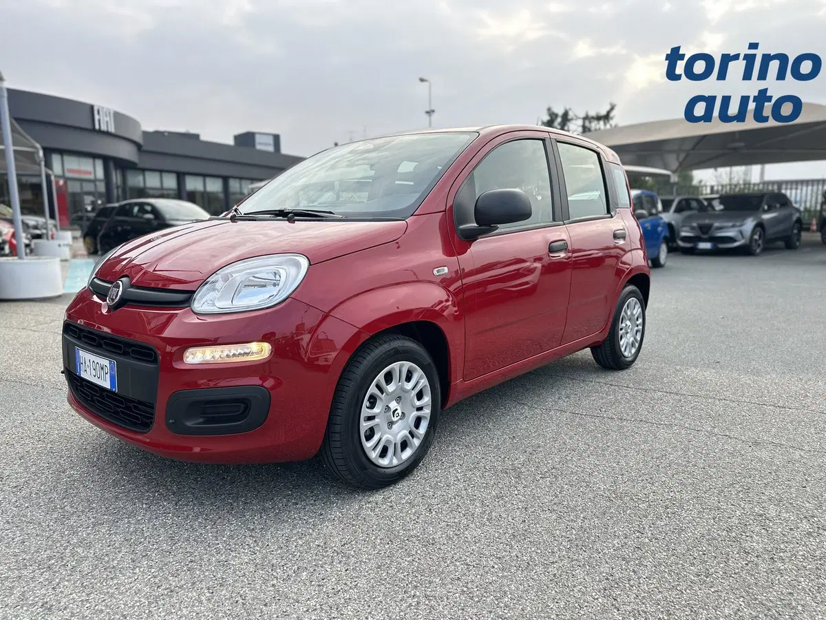 Fiat Pandina nuova a Torino (3)