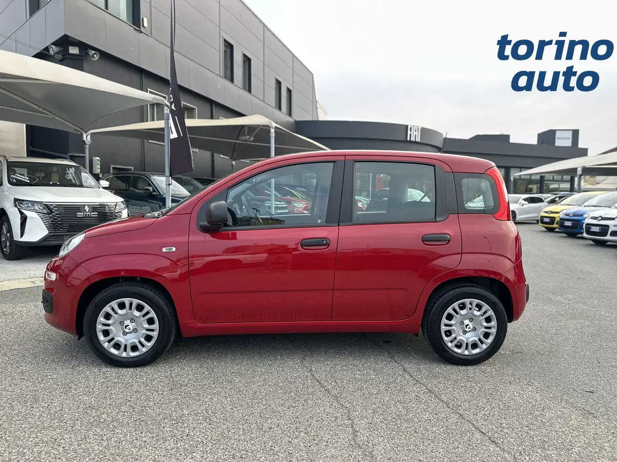 Fiat Pandina nuova a Torino (4)