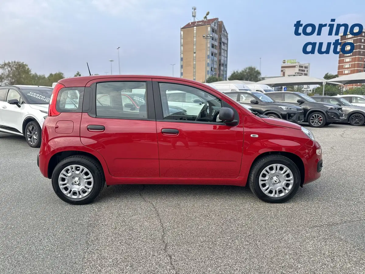 Fiat Pandina nuova a Torino (8)