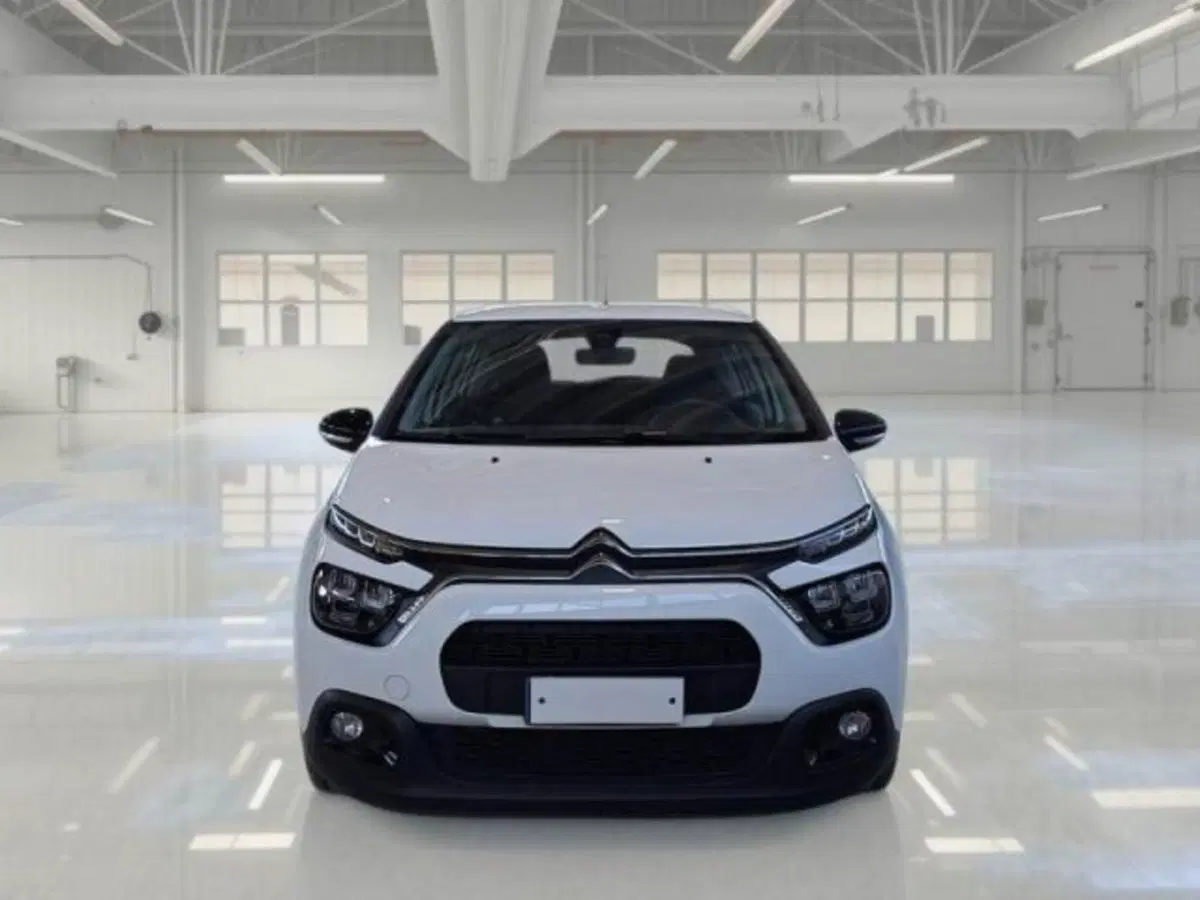 Citroen C3 usata a Catania (3)