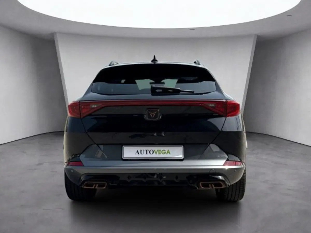 Cupra Formentor usata a Vicenza (5)