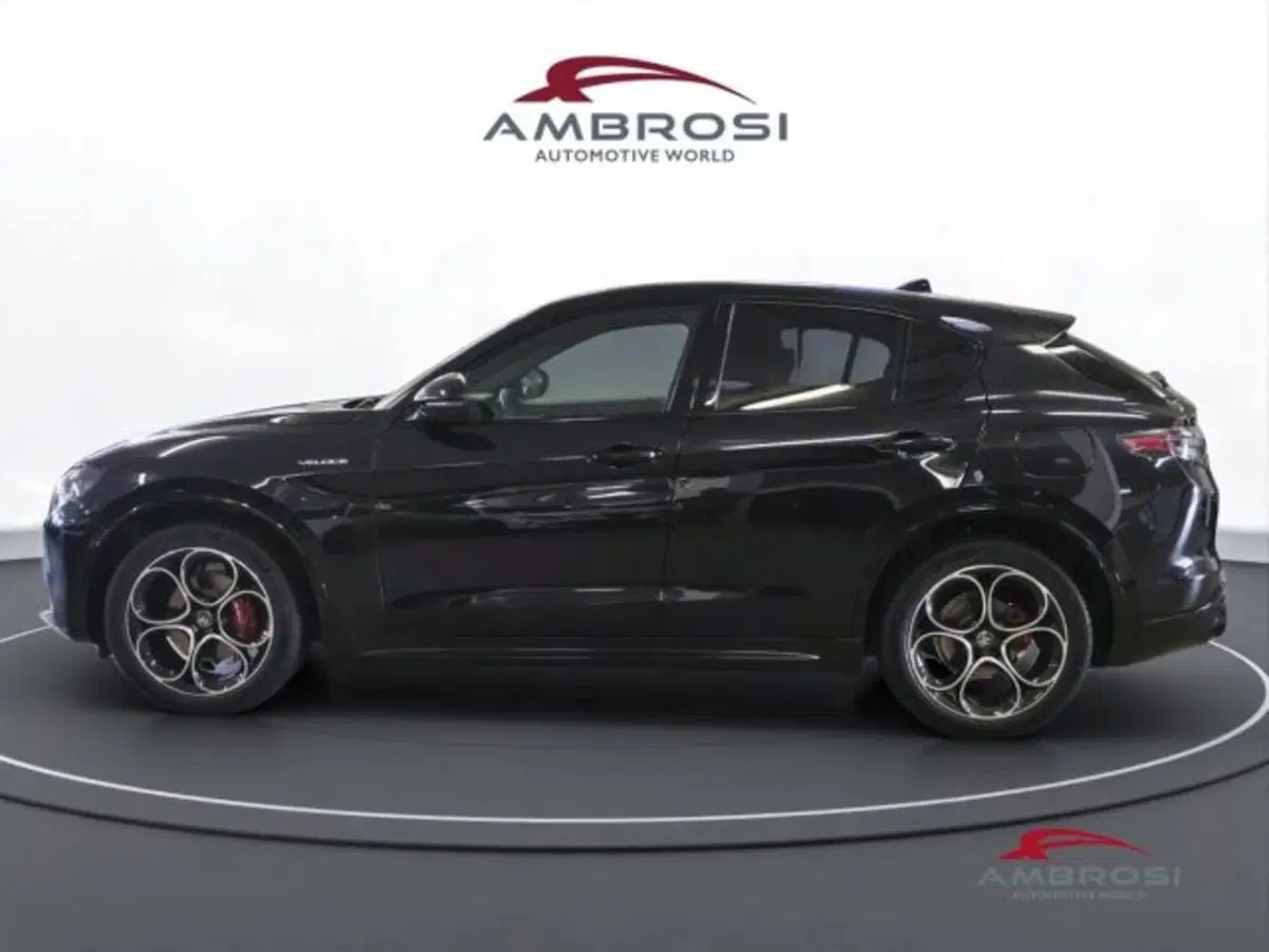 Alfa Romeo Stelvio nuova a Perugia (6)