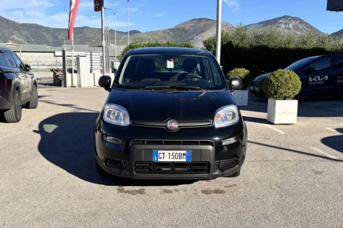 Fiat Panda usata a Latina (2)