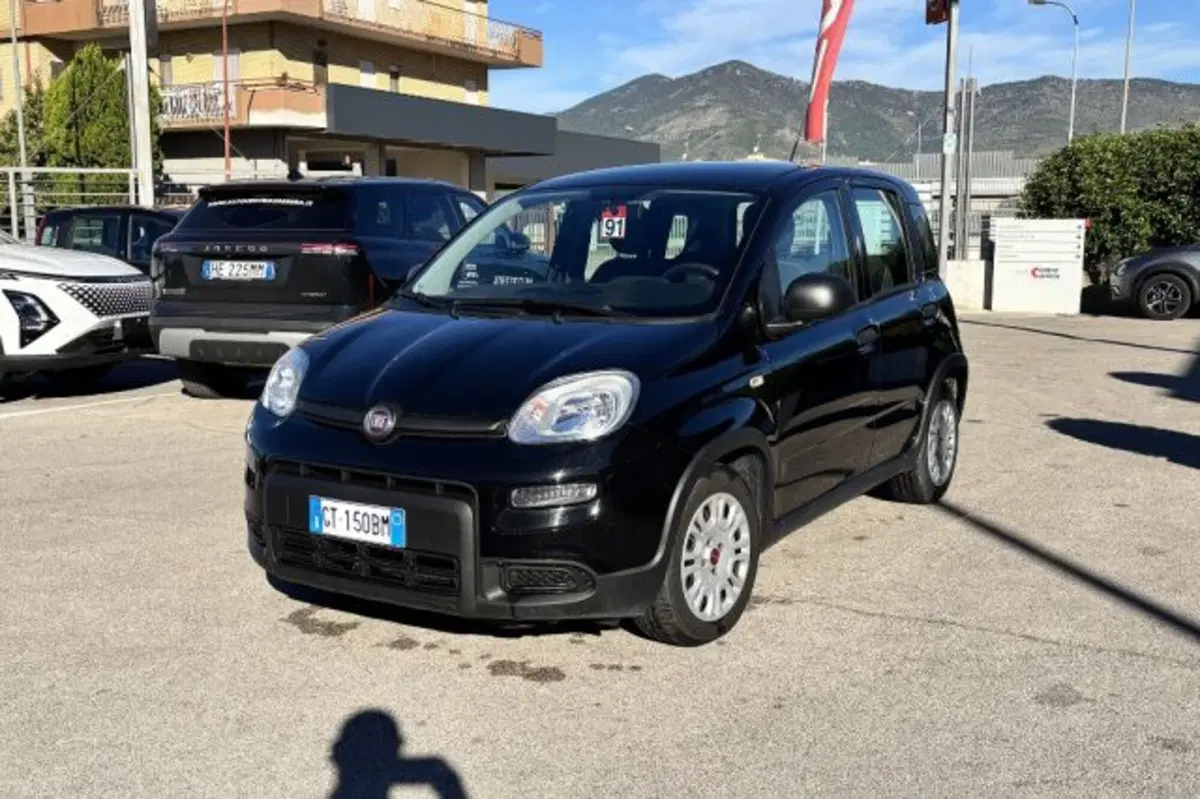 Fiat Panda usata a Latina (3)