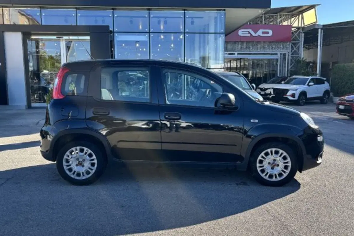 Fiat Panda usata a Latina (4)