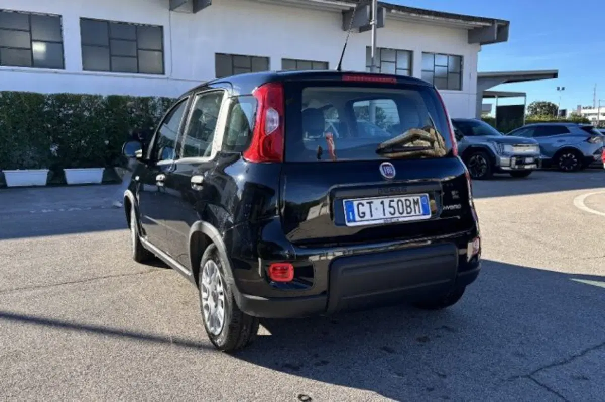 Fiat Panda usata a Latina (5)