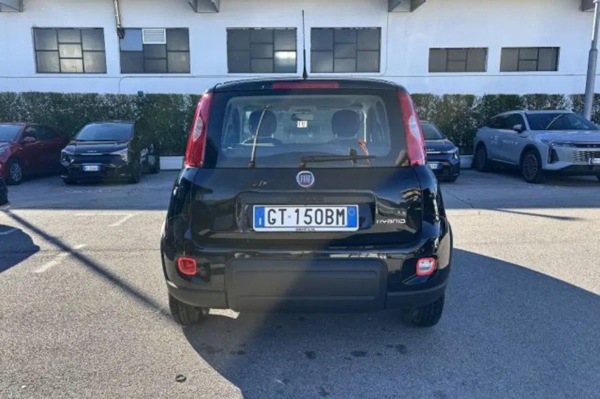Fiat Panda usata a Latina (6)