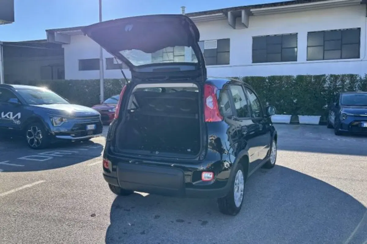 Fiat Panda usata a Latina (7)