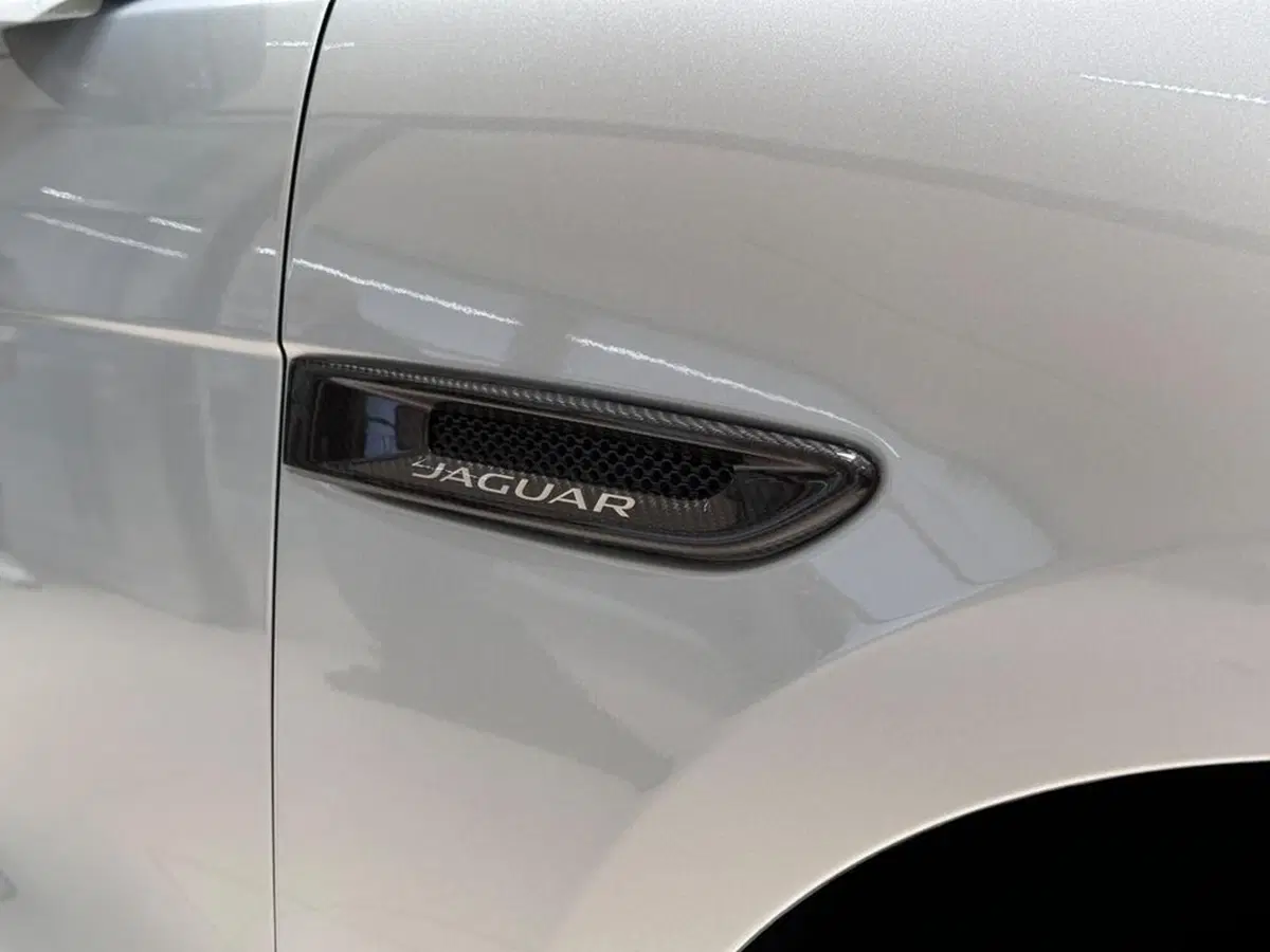 Jaguar F-Pace usata a Varese (11)