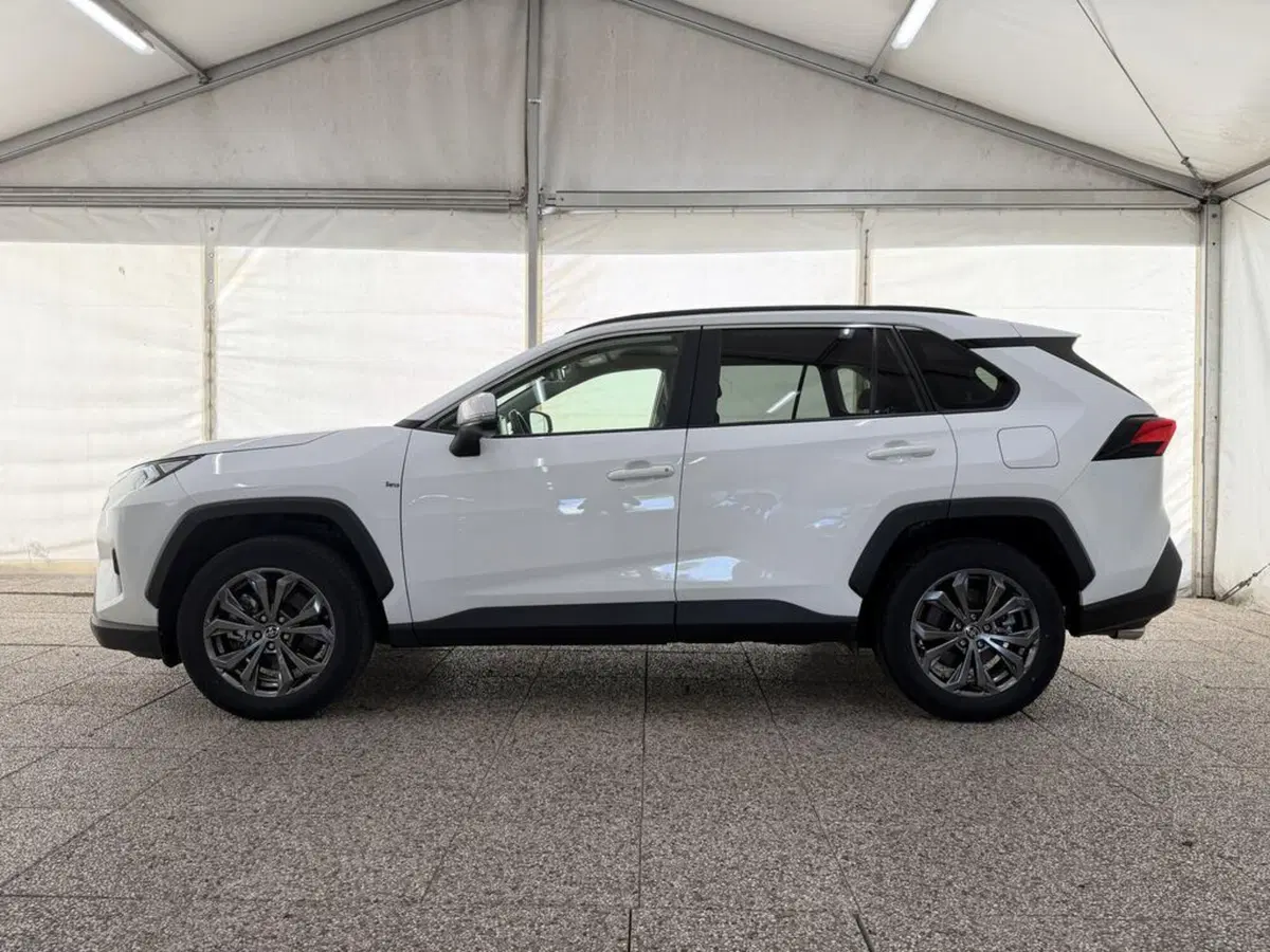 Toyota Rav4 usata a Monza e Brianza (3)