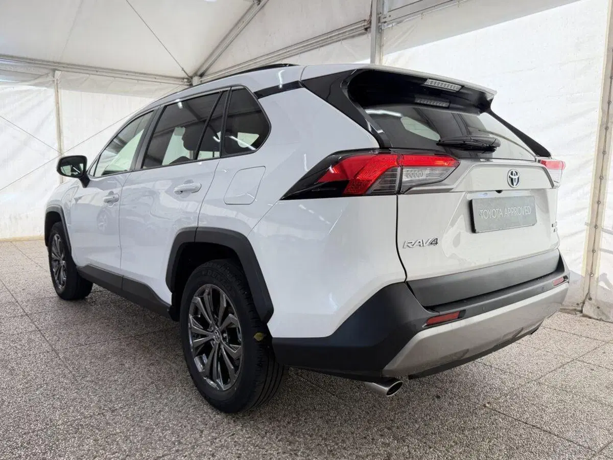 Toyota Rav4 usata a Monza e Brianza (4)