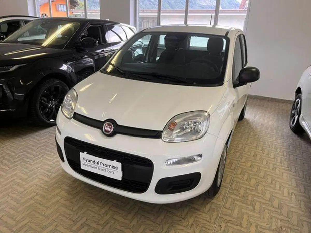 Fiat Pandina nuova a Verbano Cusio Ossola
