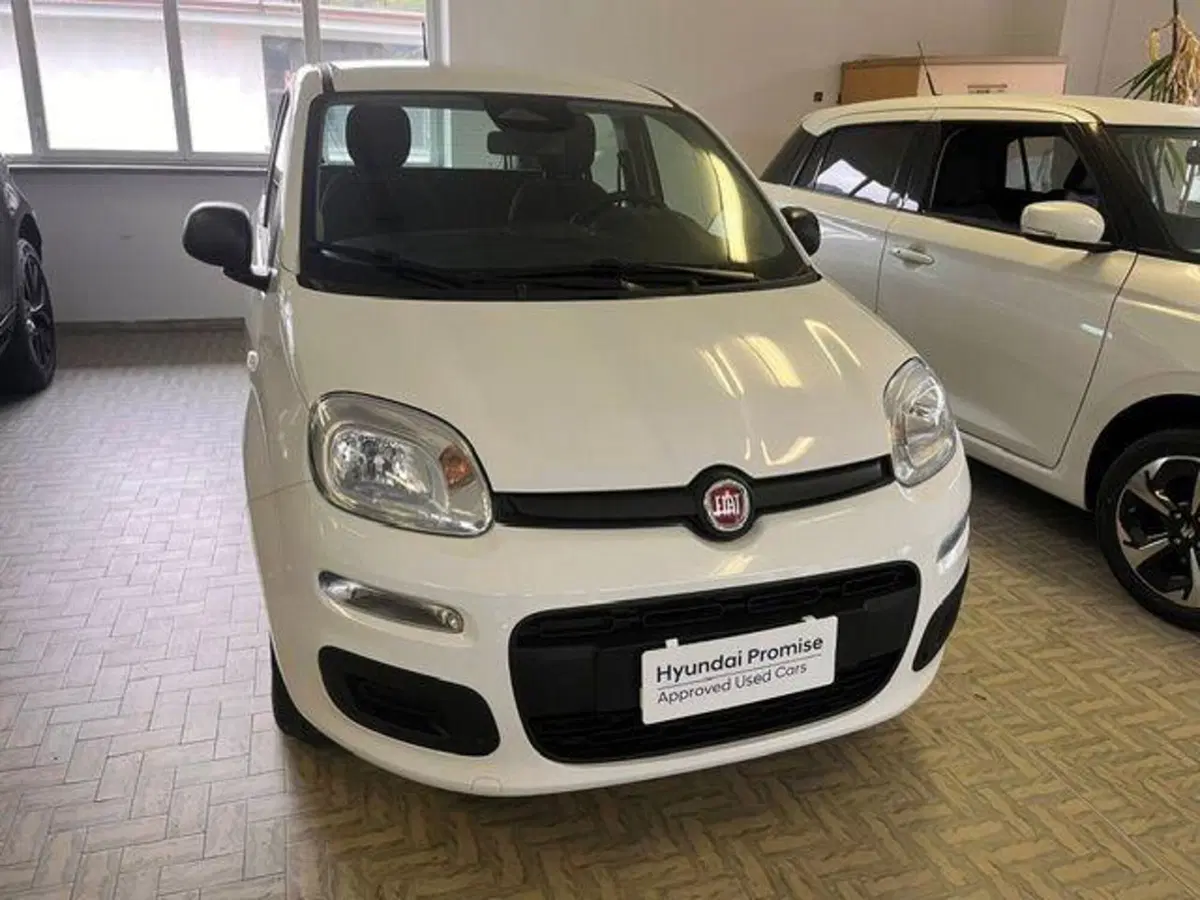 Fiat Pandina nuova a Verbano Cusio Ossola (2)