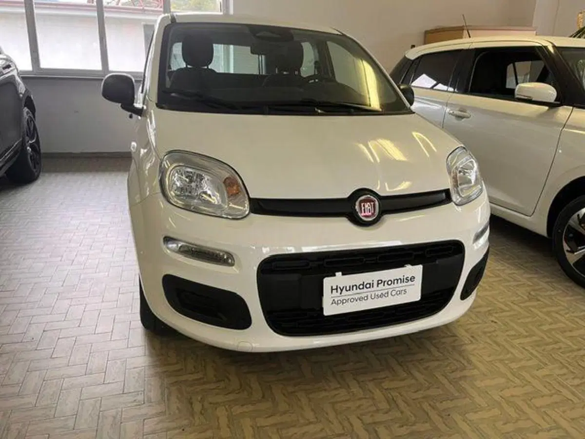 Fiat Pandina nuova a Verbano Cusio Ossola (3)